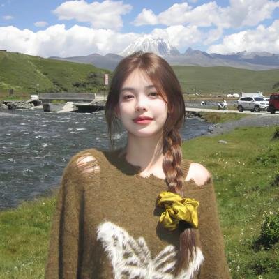 血战保山河