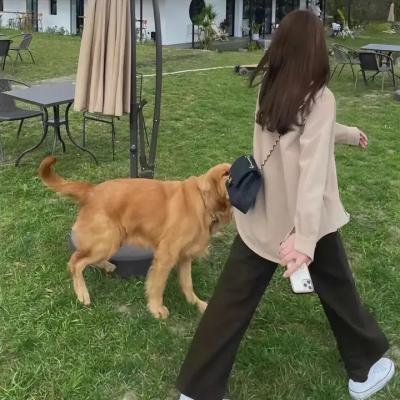 谎言风暴